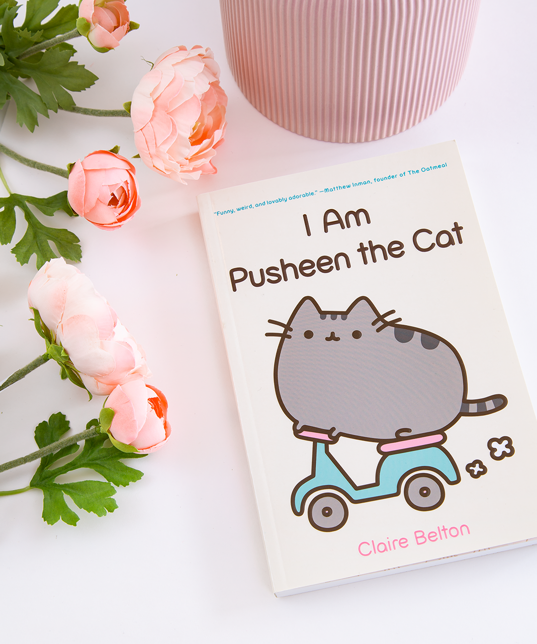 I Am Pusheen the Cat Paperback - US 3769 - Image 5